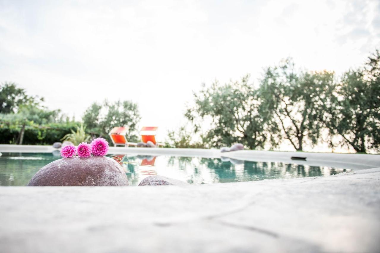 Agriturismo Il Grappolo Lazise Luaran gambar